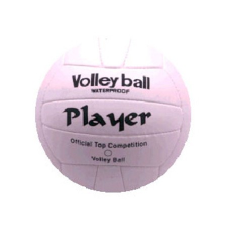 Volley Ball